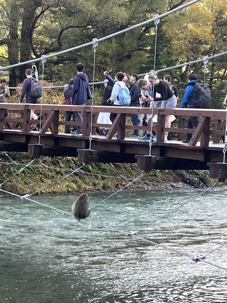 河童橋とお猿さんの画像