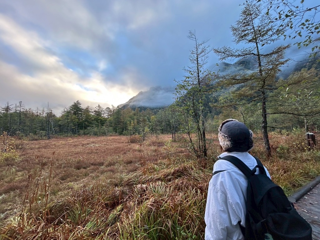 田代湿原の画像