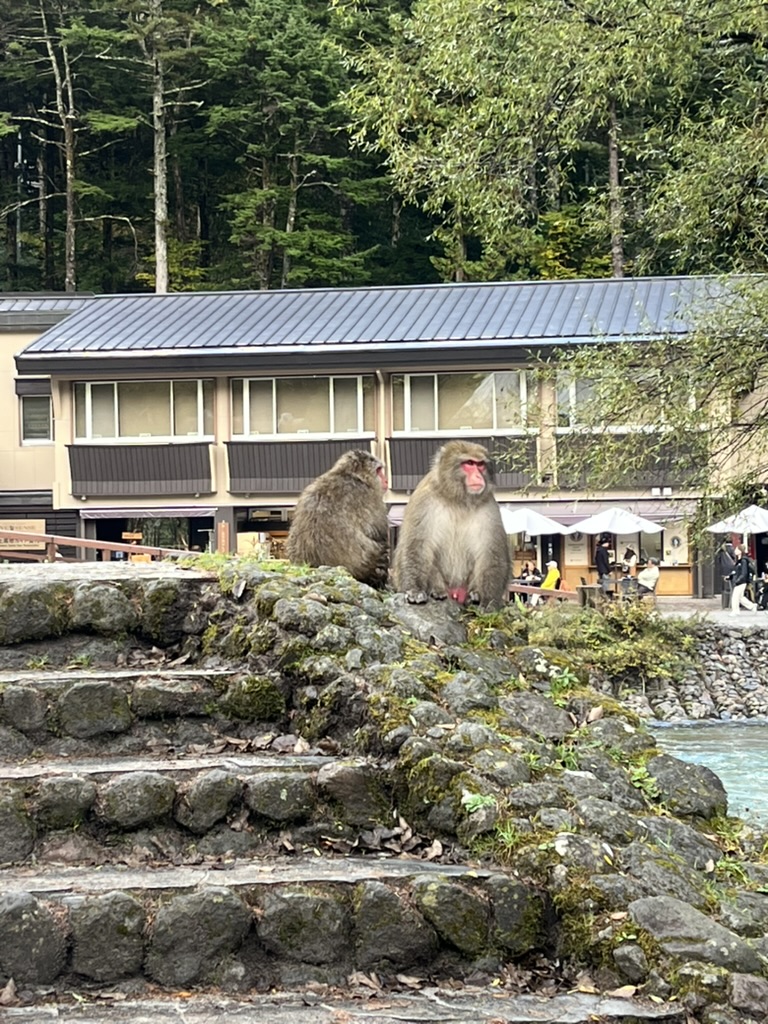 河童橋とお猿さんの画像2