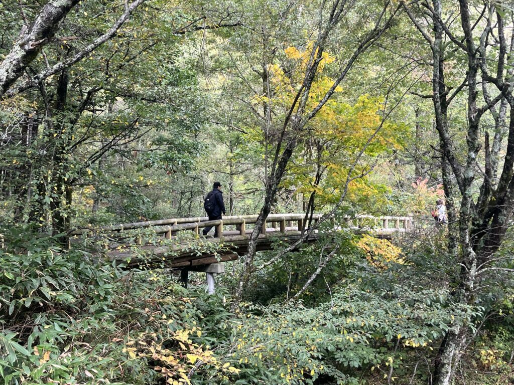 上高地散策の画像